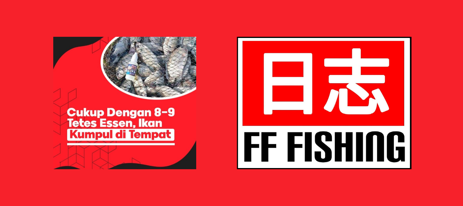 Premium performance that isn’t too pricey